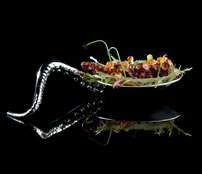 GIFRE Table: Octopus Spoon 2