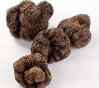 Frozen Perigord Black Truffles