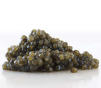 Imported Caspian Caviar