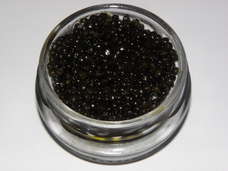 Petrossian Caviar: Royal Transmontanous Caviar, 50 grams