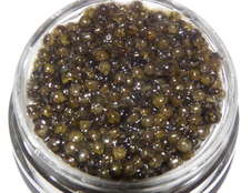 Petrossian Caviar: Shassetra