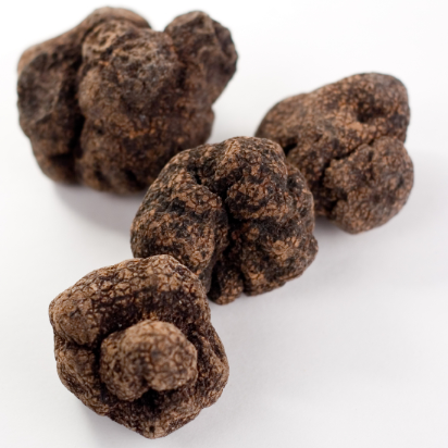 Frozen Perigord Black Truffles