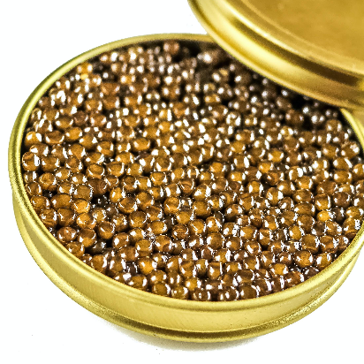 Laurel Pine, Living Luxury Golden Russian Osetra Caviar