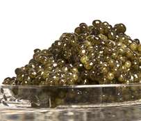 Laurel Pine, Living Luxury Kaluga Hybrid Caviar