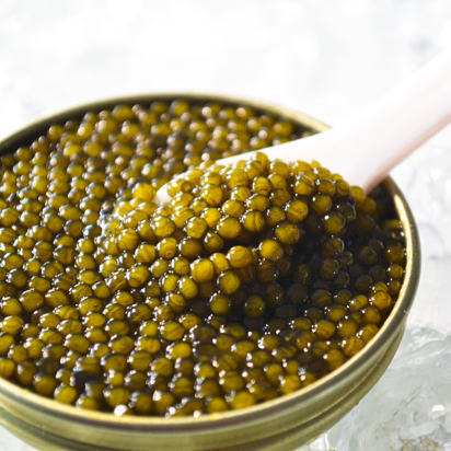 Laurel Pine, Living Luxury Golden Kaluga Hybrid Caviar