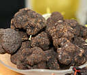 Perigord Black Truffles