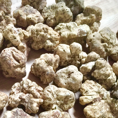 Whole Fresh White Truffles (Alba truffle)