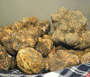 Whole Fresh White Truffles from Italy