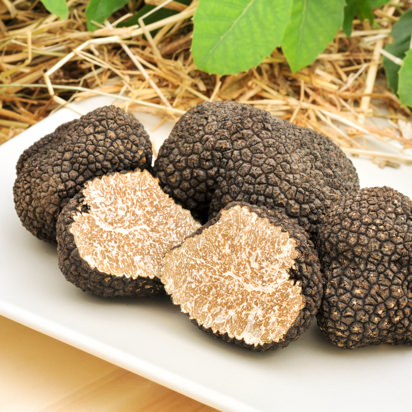 Fresh Summer Black Truffles